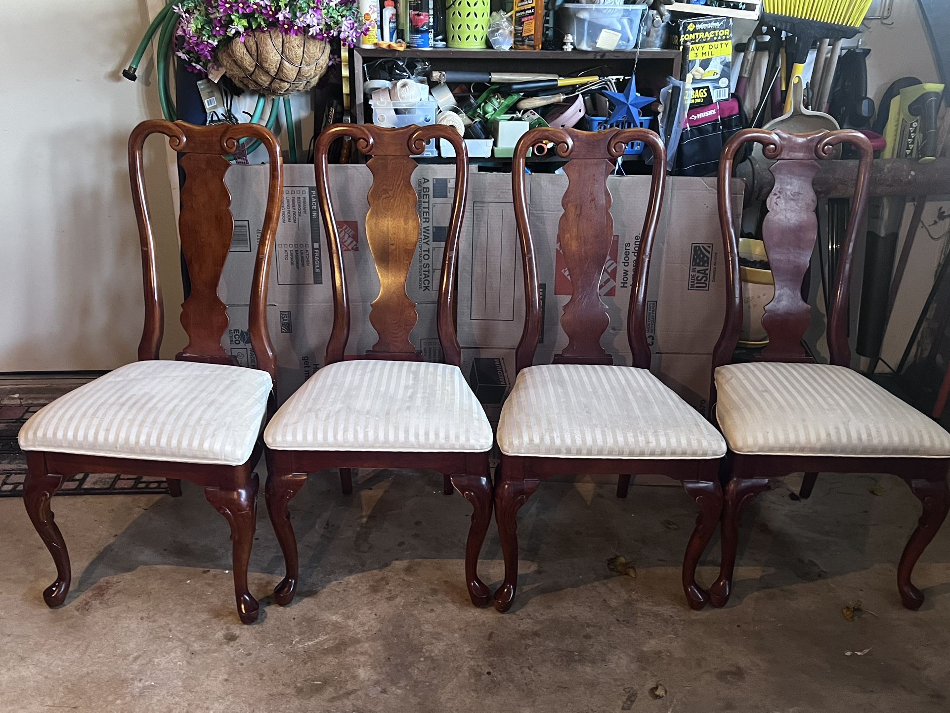 Dining Room chairs