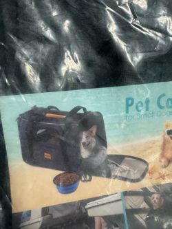 Pet in cabin carry case