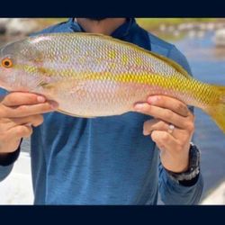 Reef Fishing Trip