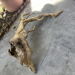 Driftwood For Fish Tank 