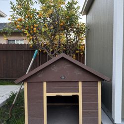 Bow Wow Dog House 