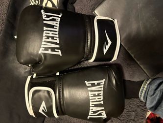 Everlast boxing gloves