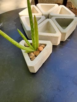 Concrete Succulent Planter Triangle
