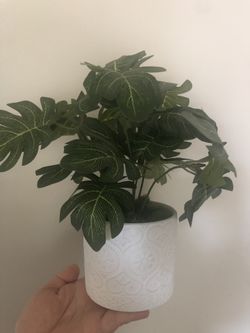 Faux Mini Selloum leaf 