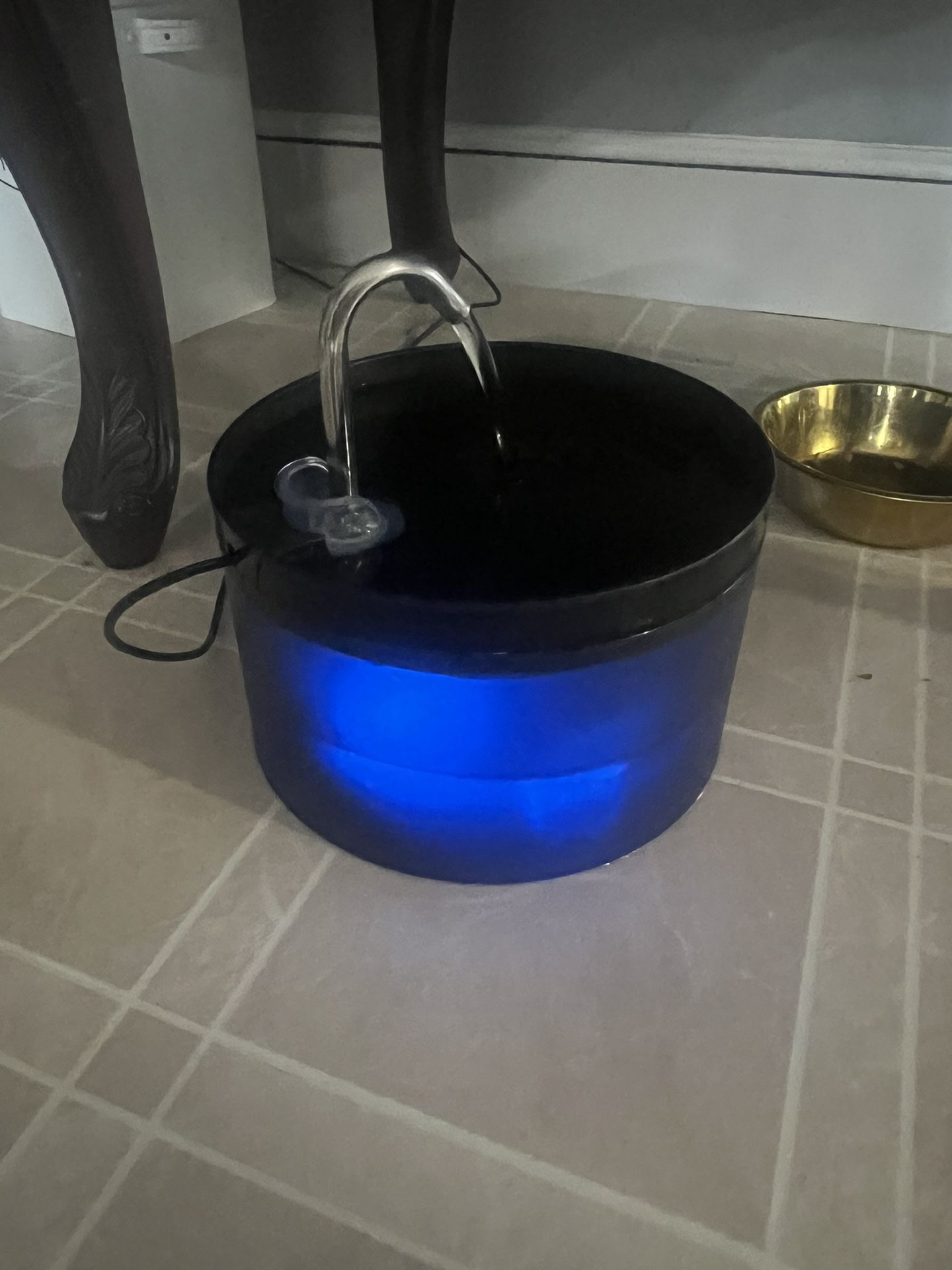 Water Fountain For Cats