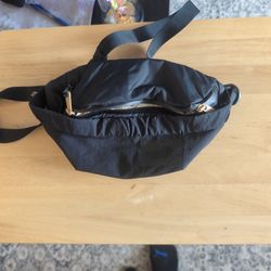 The North Face Fanny Pak