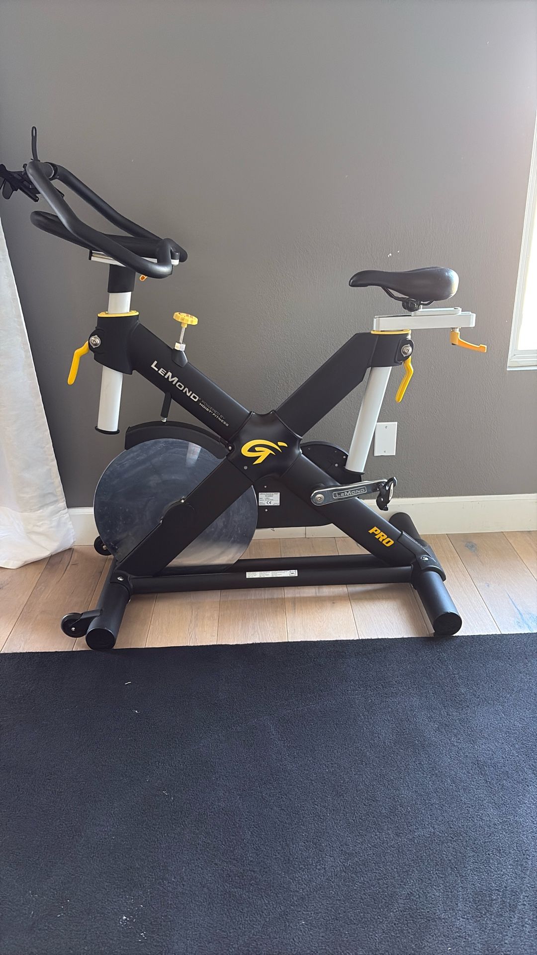 Lemond Exercise Bike