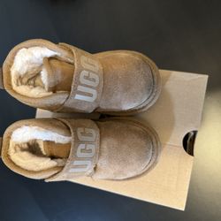 Toddler Uggs