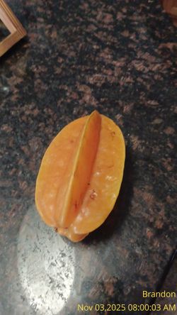 Starfruit 
