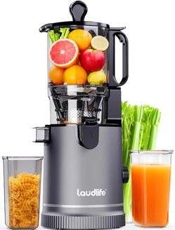 Laudlife Cold Press Slow Juicer