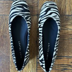Zebra Print Pumps (Brand new/never Worn)