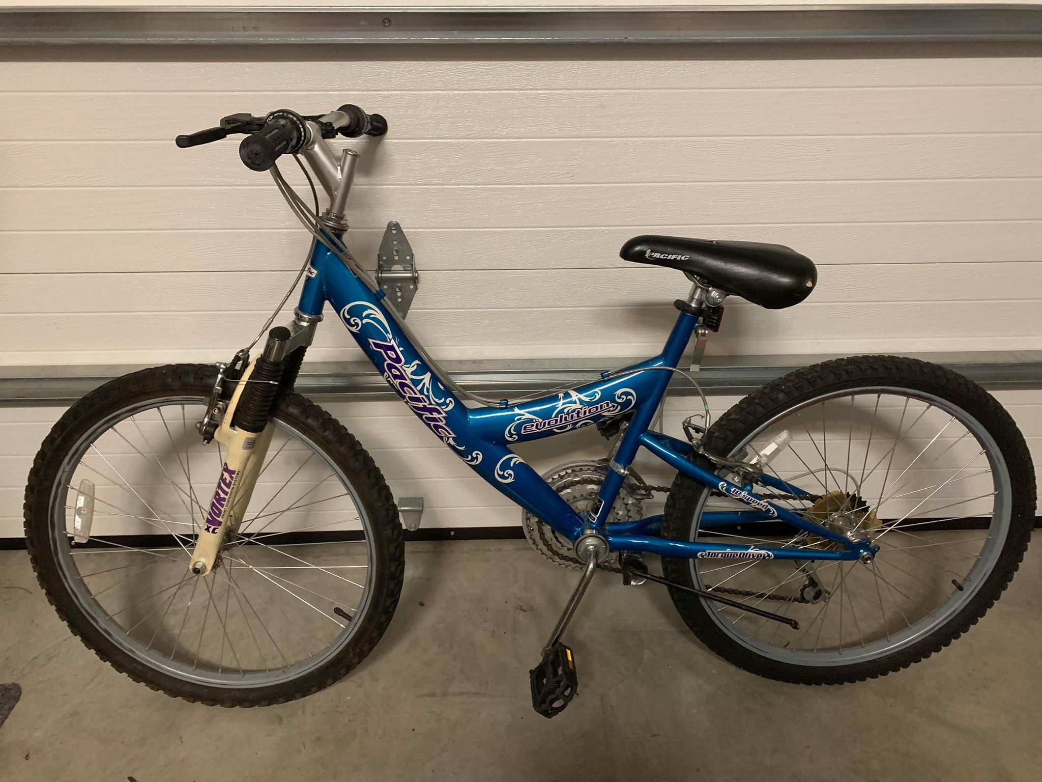 pacific evolution 24 inch boy's mountain bike
