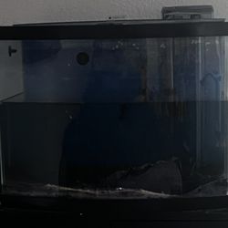 36g Bowfront Aquarium With Filter & Plant Substrate