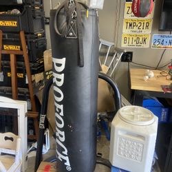 Punching Bag Stand With Speed Bag
