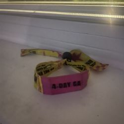 Lollapaloza sunday ticket 