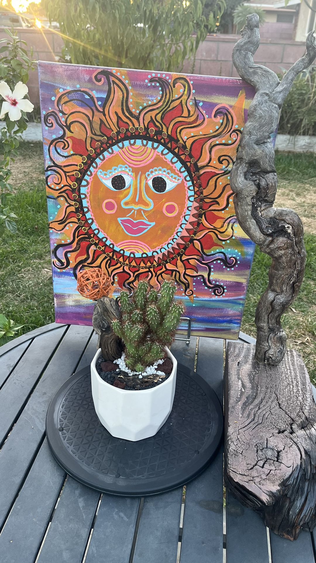 Very Healthy Cereus Peruvianus Cactus In Ceramic Pot