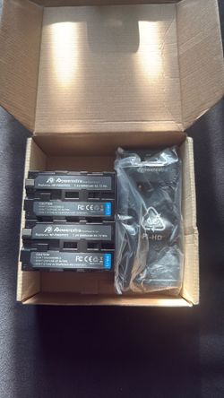 Sony npf battery 2-pack + charger