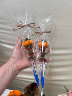 Lapiceros con calabacitas hechas a mano