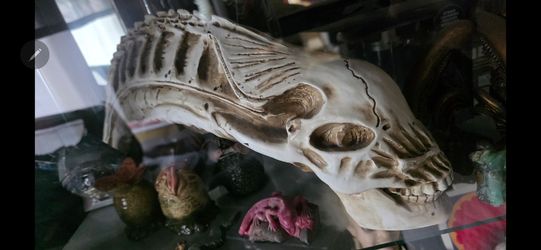 Resin Aliens Xenomorph skull. Movie prop. super nice not the small cheap one