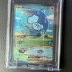 Pokemon High End Singles