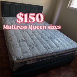 Mattress Queen Sizes 