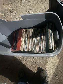 Vibe l records