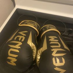 Venom Gold Boxing Gloves