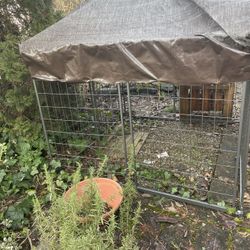 4 X 4 Outdoor Dog Kennel 