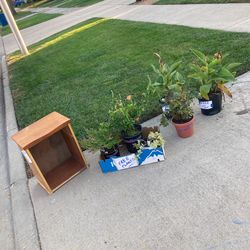 Free! End Table / Plants - Melrose Park