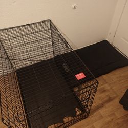 48x64 Dog Cage With Kong Bed