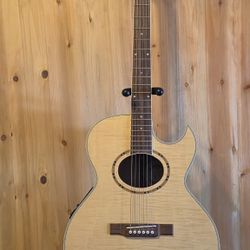 Washburn Acoustic/Electric EA9F Pre-owned