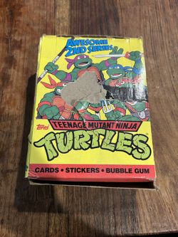 Teenage Mutant Ninja Turtles Training Cards