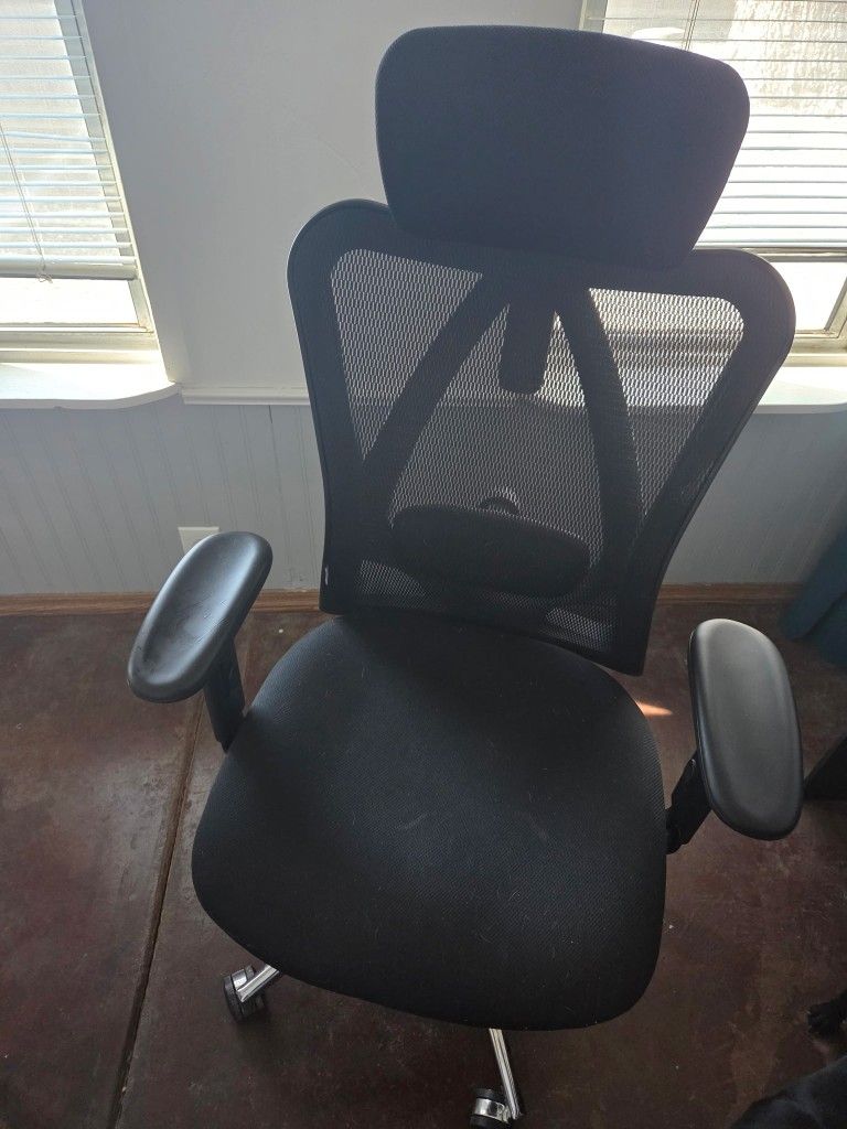 Ergonomic Office Chair