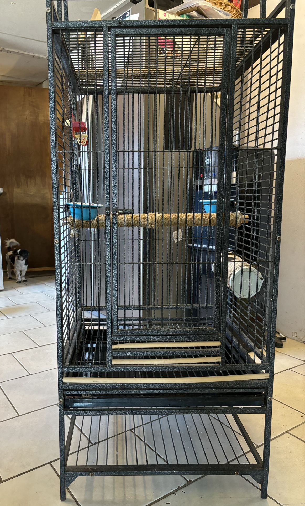 BIRD CAGE NEED GONE ASAP