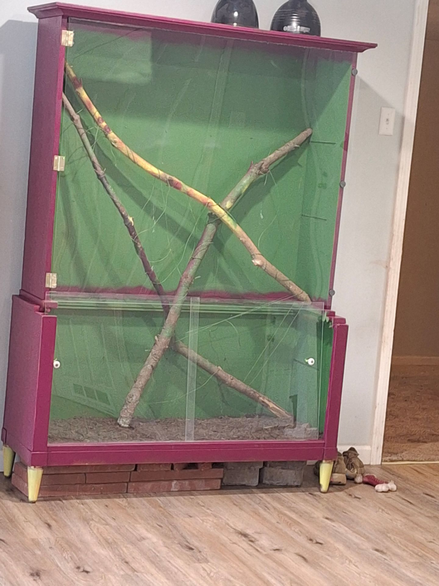 Reptile enclosure