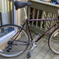 BIANCH  Avenue  Mega Frex  Frame 21 Inches 54 Cm Wheels 700