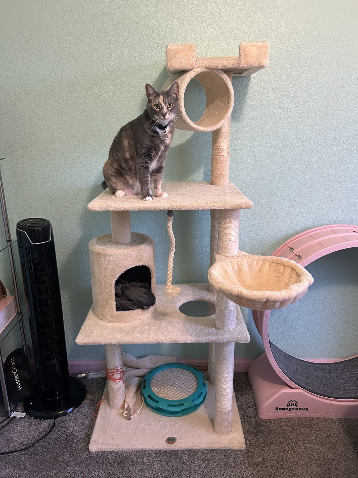 Cat Tower