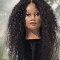 Human Hair Lace Front Wig 