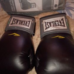 Everlast Boxing Gloves 14 Ounces 