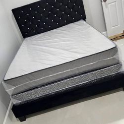 Buy Bed Twin Full Queen King Sizes | Size Variety Available With Mattress 