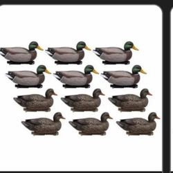 6 Dozen Last Pass Mallard Floater With Rigs 