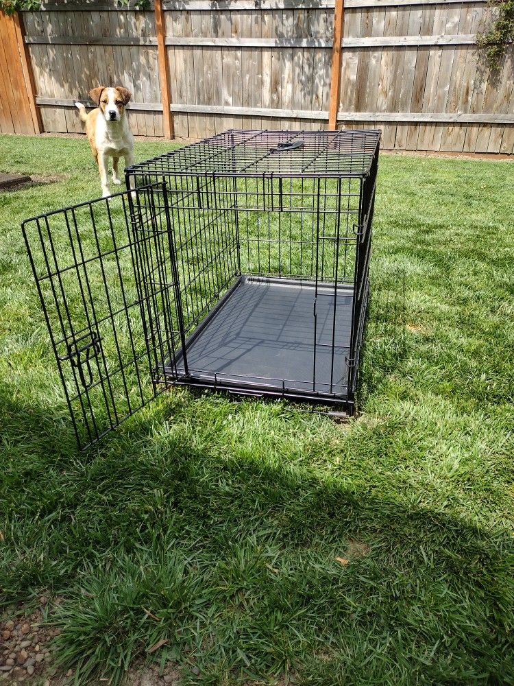 Dog Crate