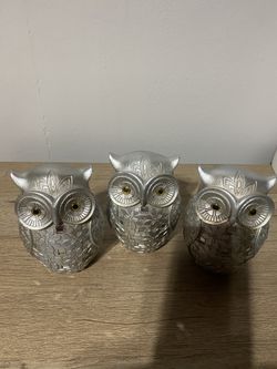 Owls
