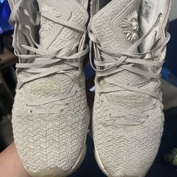 Lebron 17 Size 12