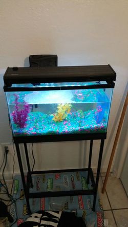 Beautiful 10 gallon fish tank comes with alot