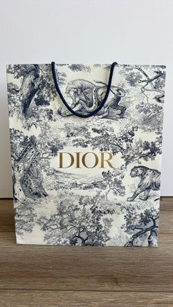 Dior Shopping Bag