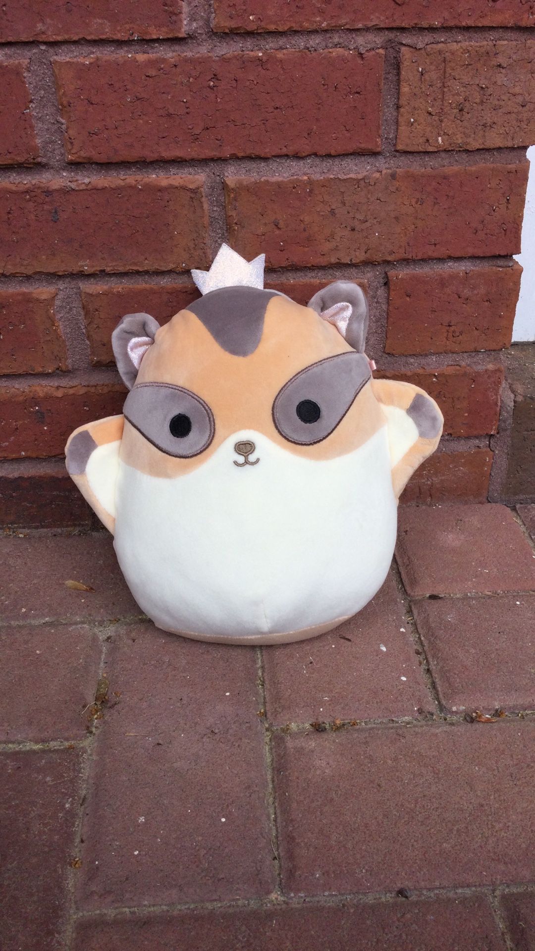 Flying Squirrel Squish-mellow