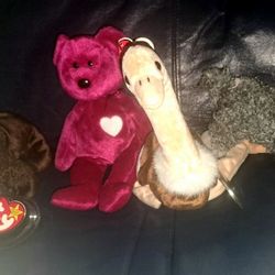 TY Beanie Babies Rare?