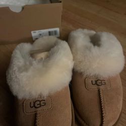 uggs 