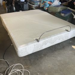 Free Electric Bed